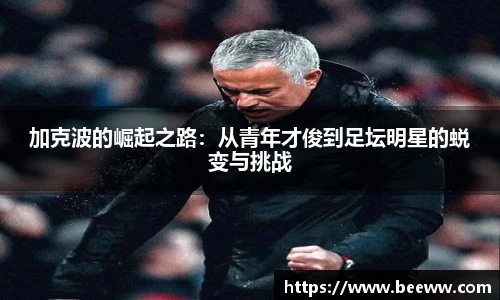 6688体育官网入口