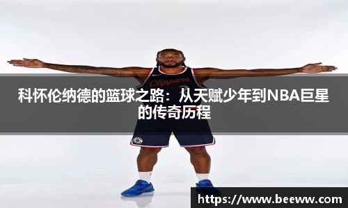 6688体育官网入口